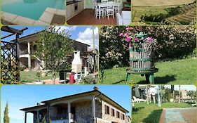 Agriturismo La Spiga
